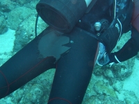 2013_11_16_A_02.jpg