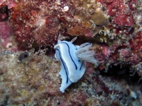 2013_11_16_A_03.jpg
