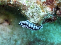 2013_11_16_A_04.jpg