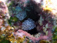 2013_11_16_A_05.jpg