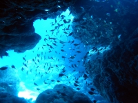 2013_11_16_A_06.jpg