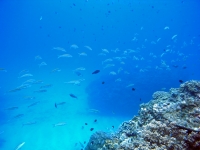 2013_11_16_A_07.jpg