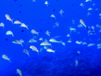 2013_11_16_A_08.jpg