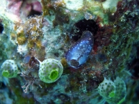 2013_11_16_A_09.jpg