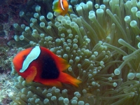 2013_11_16_BB_09.jpg