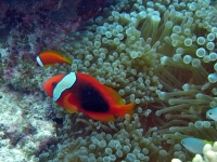 2013_11_16_BB_10.jpg