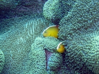 2013_11_16_BB_11.jpg