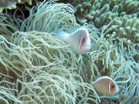 2013_11_16_BB_14.jpg