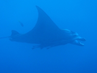 2014_09_05_A_02.jpg