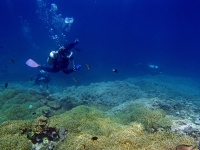 2014_09_06_A_03.jpg