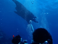 2014_09_06_BB_01.jpg