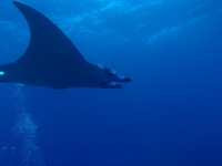 2014_09_06_BB_02.jpg