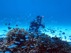 2015_09_11_006.jpg