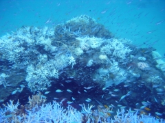 2016_09_10_A_003.jpg